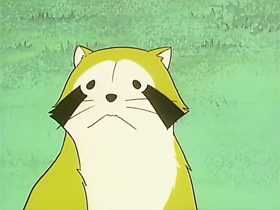 کارتون رامکال Rascal the Raccoon - قسمت 25